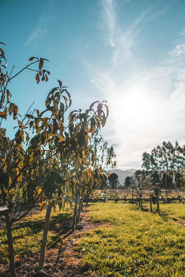 מלון גרייטאון Woodside Orchard מראה חיצוני תמונה